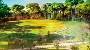 Golfplatz Nick Faldo Golf Club