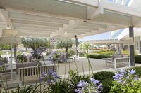 Ihr Reisepartner Maximum Golf Reisen bucht Ihre Greenfees in Mallorca zu günstigen Preisen