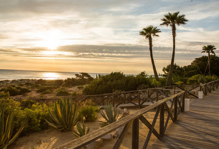 Hier werden Angebote für Golfurlaub in Iberostar Royal Andalus  in Andalusien angeboten