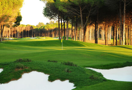 Golfplätze in Belek in der Türkei-Carya Golf Club-Grün zwischen der Bäume