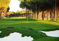 Golfplätze in Belek in der Türkei-Carya Golf Club-Grün zwischen der Bäume