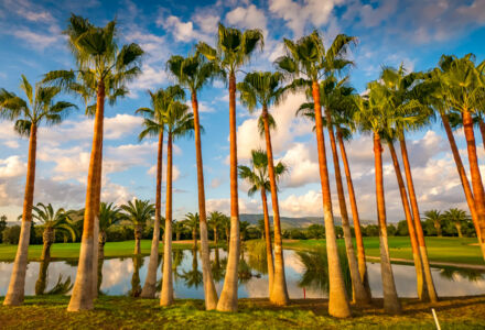Maximum Golfreisen bietet Golfurlaub auf Mallorca - T Golf & Country Club Poniente