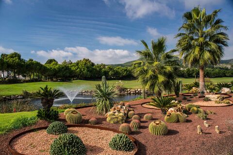 Golfurlaub in Mallorca-Golfspielen auf Andratx
