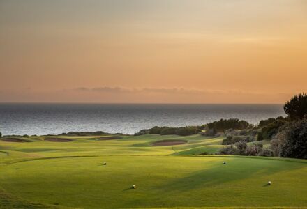 Golfreise nach Costa Navarino- Paphos-mit Informationen und Beschreibungen der Golfplätze-Grün bei Sonnenuntergang