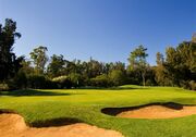 Golfplatz Penina Golf