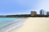 Ihr Reisepartner Maximum Golf Reisen bucht Ihre Greenfees in Mallorca zu günstigen Preisen