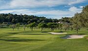 Golfplatz Son  Muntaner Golf Platz