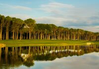 Golfplätze in Belek in der Türkei-Carya Golf Club-Bäume am Wasser