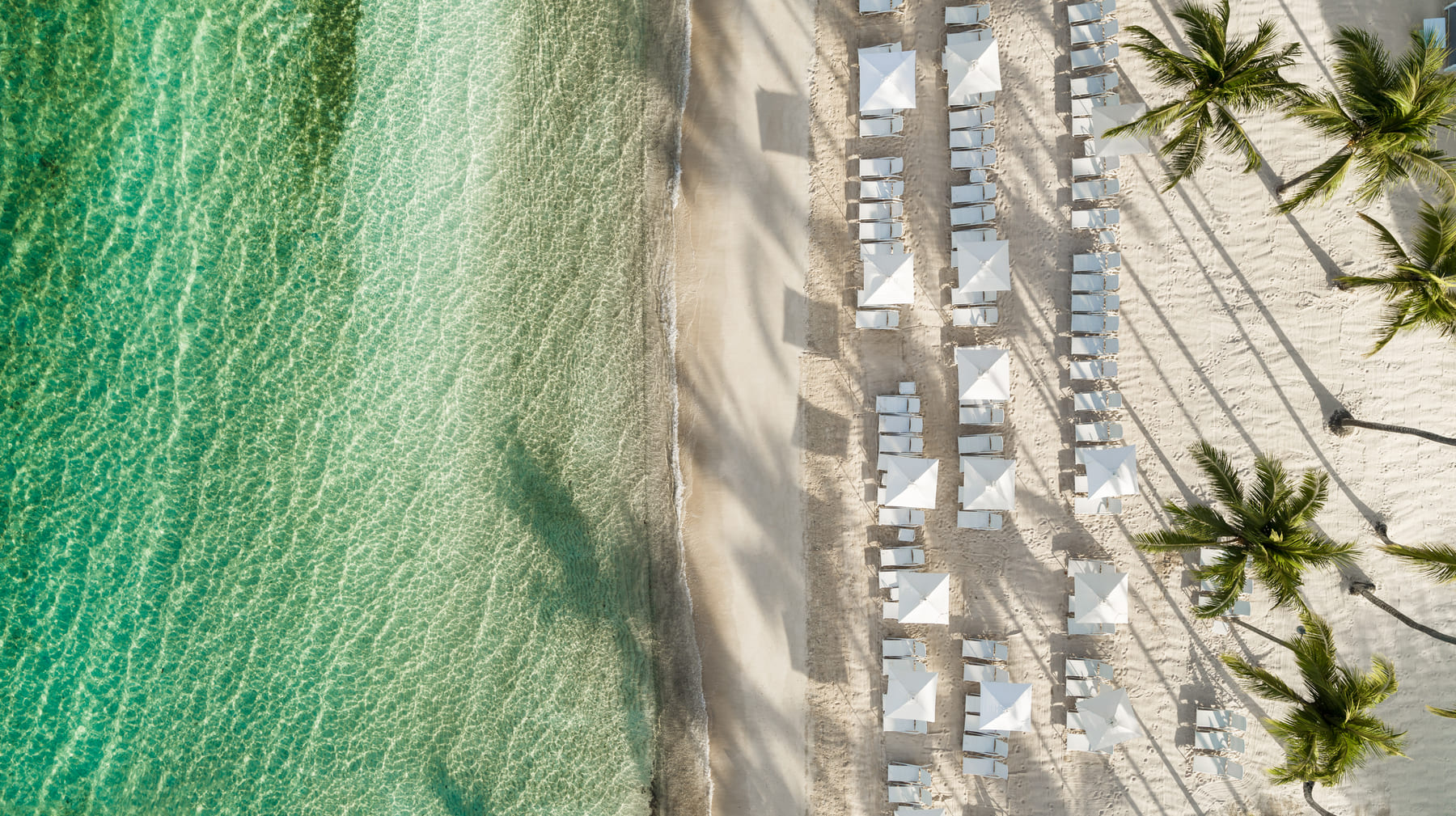 Dominikanische Republik Bilder mit Palmen und weißer Sand-Paradies für Golfer