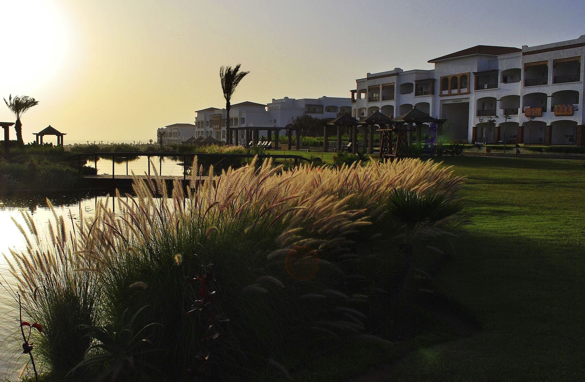 Maximum Golfreise Webseite mit Robinson Club Agadir und Hotelbild